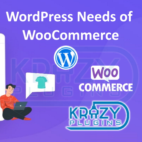 WordPress Needs of WooCommerce