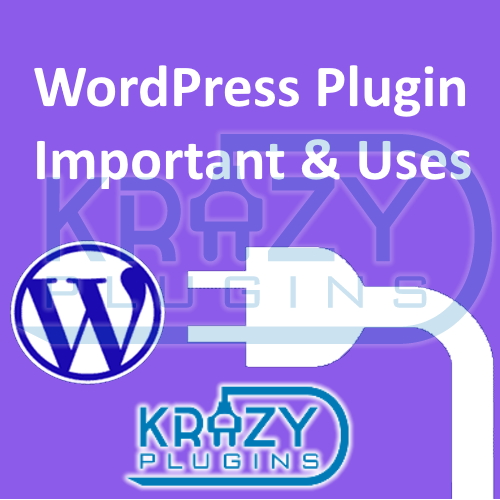 WordPress plugin important and uses