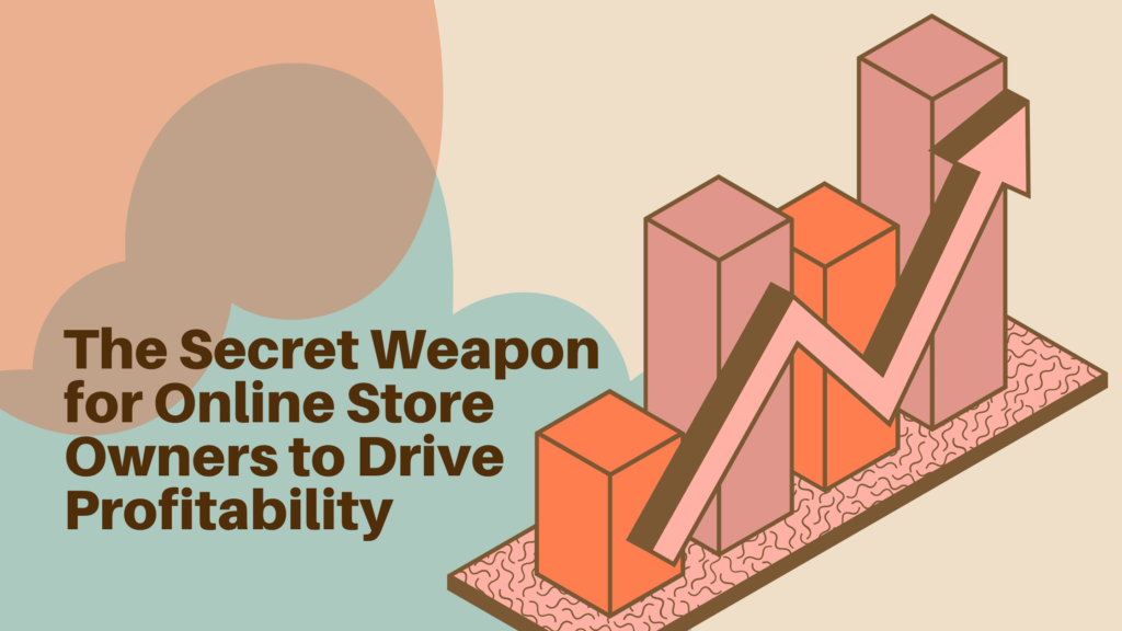 The Secret Weapon for Online Store Owners to Drive Profitability