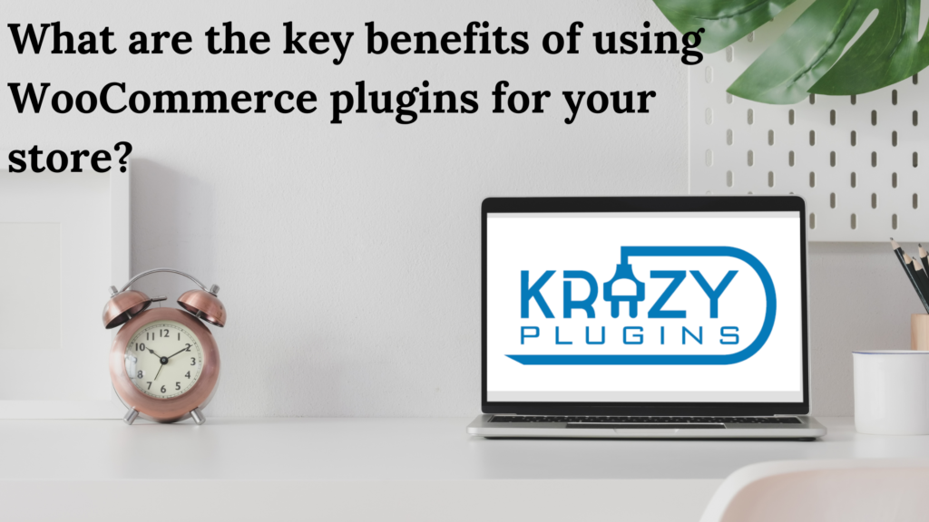 What are the key benefits of using WooCommerce plugins for your store?